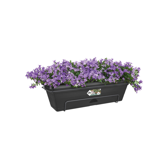 green basics balkonkasten allin1 50cm living schwarz